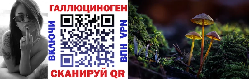 сколько стоит Шахты Галлюциногенные грибы Psilocybine cubensis