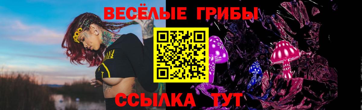 Галлюциногенные грибы MAGIC MUSHROOMS  Галлюциногенные грибы Magic Shrooms  Вход с VPN  Шахты 