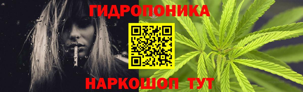Шахты  Бошки марихуана THC 21%  Марихуана THC 21%  Марихуана VHQ  Вход с VPN  МАРИХУАНА тримм 
